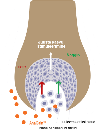 Locerin Scheme